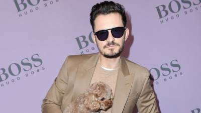 Orlando Bloom Opens Up About New Foster Dog Following Dog Mighty's Death - www.etonline.com