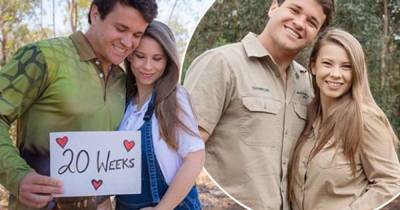 Bindi Irwin reveals she's '20 weeks pregnant' - www.msn.com