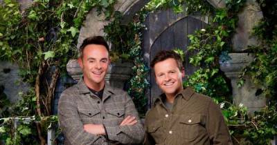 The I'm A Celebrity 2020 odds and this year's predicted winner - www.msn.com