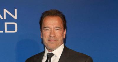 Arnold Schwarzenegger visits veterans cemetery, livid at lack of crowd - www.wonderwall.com - Los Angeles
