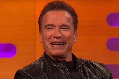 Arnold Schwarzenegger-Led Spy Thriller Lands at Netflix - thewrap.com - city Santora
