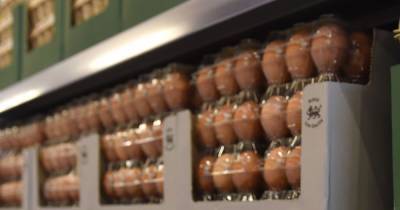 Aldi and Sainsbury's issue urgent safety warning about eggs - www.manchestereveningnews.co.uk - Britain