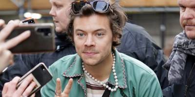 Why Harry Styles Wants to Remove All Gender Barriers in Fashion - www.harpersbazaar.com