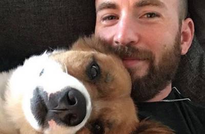 Chris Evans Shares New Selfie with Dodger & Seemingly Trolls Trump with the Caption - www.justjared.com