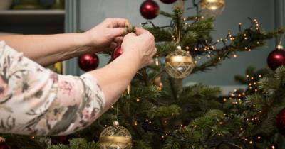 Celebrities are putting their Christmas decorations up early this year, because why not? - www.msn.com