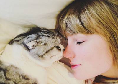 Taylor Swift’s Cats Were The Most-Searched Celebrity Pets Of 2020 - etcanada.com - Britain