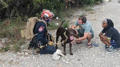 Texas paramedic rescues dog that fell off 70-foot cliff - www.foxnews.com - Texas - city Austin - county Travis