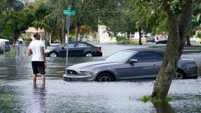 Manatee surprises Florida homeowner during Tropical Storm Eta - www.foxnews.com - Florida - city Naples - county Early