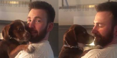 Chris Evans Cuddles a Puppy in His Iconic 'Knives Out' Sweater & Fans Cannot Get Enough! - www.justjared.com