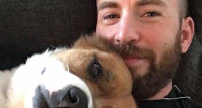 Chris Evans shares new photo with his dog Dodger; Takes a dig at President Donald Trump with the caption - www.pinkvilla.com