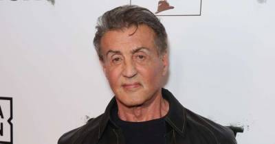 Sylvester Stallone joins the cast of The Suicide Squad - www.msn.com