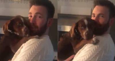 Chris Evans & Olympic medalist Aly Raisman’s dogs have a cute play date as former dons his Knives Out sweater - www.pinkvilla.com