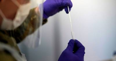 Covid testing 'megalab' to open in Scotland as fight against virus is stepped up - www.dailyrecord.co.uk - Britain - Scotland