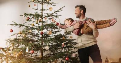 Best day to buy a real Christmas tree so that it lasts the entire festive season - www.dailyrecord.co.uk
