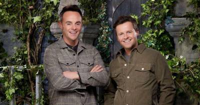 I'm a Celebrity viewers react to the new castle setting as the show launches - www.msn.com - Australia - county New Castle