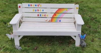 Volunteers are fundraising to replace stolen memorial bench that honoured popular pooch - www.dailyrecord.co.uk