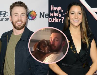 Chris Evans Wore His Iconic Knives Out Sweater To A Cozy Puppy Play Date With Aly Raisman! - perezhilton.com