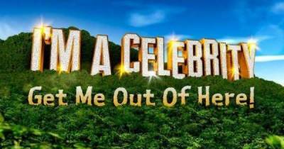 When does the I’m a Celebrity 2020 final air? - www.msn.com