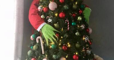 Mum creates incredible Grinch Christmas tree for just £35 - and other parents are obsessed - www.dailyrecord.co.uk