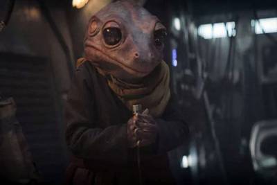 Baby Yoda is old news: ‘The Mandalorian’ Frog Lady is new fan favorite - nypost.com