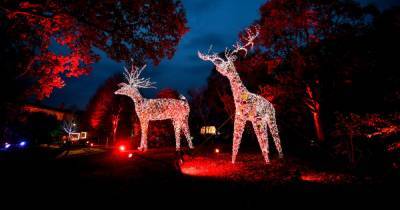 Dunham Massey postpones several dates for its popular Christmas lights trail - www.manchestereveningnews.co.uk
