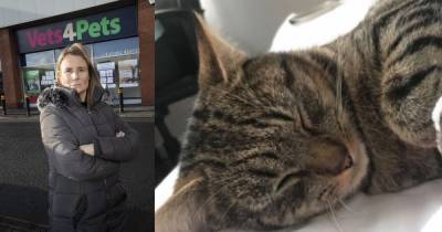Grieving Ayr pet owner says vet 'turned away dying cat' - www.dailyrecord.co.uk