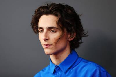 Timothee Chalamet Shows Off Handmade Gifts Sent To Him By Fans - etcanada.com