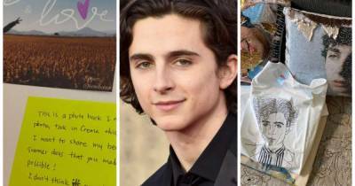 Timothee Chalamet shares photos of fan mail, including sequined pillows featuring his face - www.msn.com - Japan