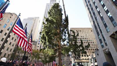 Twitter users troll Rockefeller Center Christmas tree, liken it to 'Charlie Brown' - www.foxnews.com - Norway