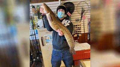 Illinois angler hooks state record with 'beautiful' burbot fish - www.foxnews.com - Illinois