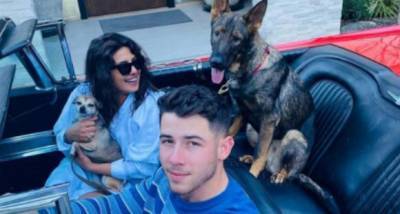 Priyanka Chopra reunites with Nick Jonas & her pet fam as they head for a drive in LA after Berlin return - www.pinkvilla.com - Los Angeles - USA - Berlin