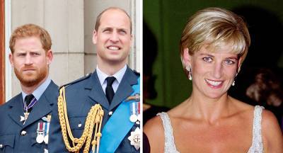 Prince Harry and Prince William’s feud: “Diana would be ashamed” - www.newidea.com.au