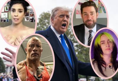 Trump Team Asked SO MANY Celebs To Do Taxpayer-Funded COVID Ads -- You'll Be SHOCKED Who Said 'Maybe'! - perezhilton.com