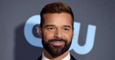 Ricky Martin Says He Has a ‘Couple Embryos Waiting’ for Him to Expand His Family - www.usmagazine.com