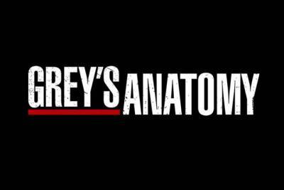 'Grey's Anatomy' Boss Explains Why [SPOILER] Was Given COVID-19 & Reveals What's to Come - www.justjared.com