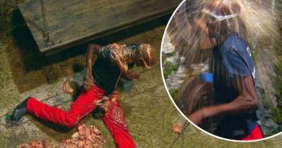 I'm A Celeb SPOILER: Mo goes flying after having GUTS poured on him - www.msn.com