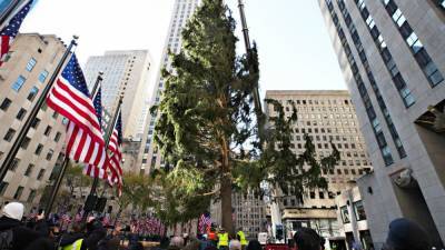 Rockefeller Center Posts Epic Clapback After 2020 Christmas Tree Goes Viral for All the Wrong Reasons - www.etonline.com