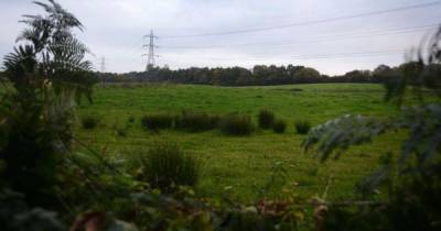 Hundreds of homes could be removed from Stockport's green belt plans - www.manchestereveningnews.co.uk - Manchester