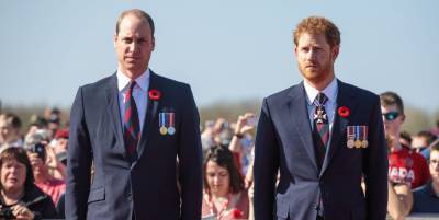 Claims That Prince Harry Doesn’t Support BBC’s Diana Investigation Are “Offensive” - www.harpersbazaar.com