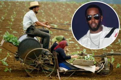Sean Combs once spent a ‘life-changing’ summer with the Amish - nypost.com - city Harlem