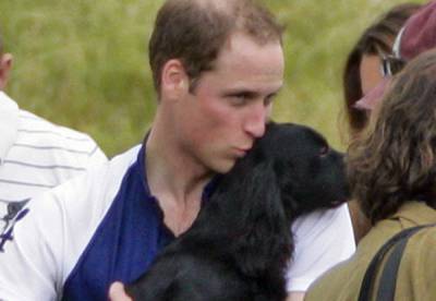 Kate Middleton & Prince William's Dog Lupo Has Passed Away - www.justjared.com