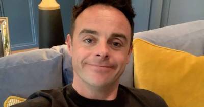 I'm A Celebrity's Ant McPartlin's home couldn't be more different to Dec's - www.msn.com