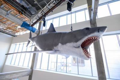 ‘Jaws’ Shark Invades Academy Museum And Is Ready To Terrorize Visitors This Spring - deadline.com