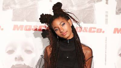 Willow Smith, 20, Shows Off Her Insane Flexibility While Doing Intense Yoga Poses In New Pic - hollywoodlife.com