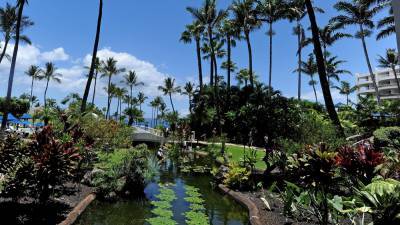 Lawmakers' Hawaii conference backlash brutal as California's coronavirus restrictions tighten - www.foxnews.com - California - Hawaii - county Maui