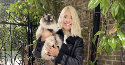 Holly Willoughby shocked as beloved cat Bluebell leaves nasty surprise for her at home - www.ok.co.uk