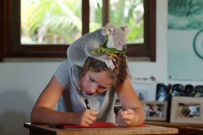 ‘Izzy’s Koala World’: Netflix Gives Series From The Dodo Greenlight For Season 2 - deadline.com - Australia