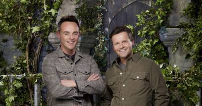 'I'm a Celebrity' 2020: When will the first elimination take place? - www.msn.com