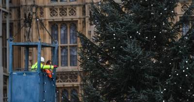 Christmas lockdown easing plan agreed by Scottish and UK Governments - www.dailyrecord.co.uk - Britain - Scotland