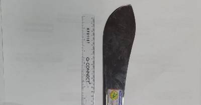 Police seize machete and zombie knife from stolen car as they charge child with string of offences - www.manchestereveningnews.co.uk